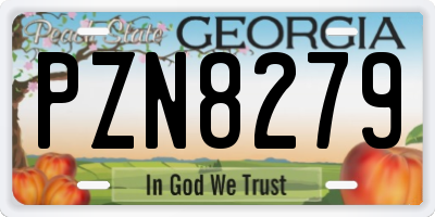 GA license plate PZN8279