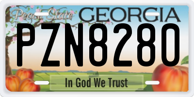 GA license plate PZN8280