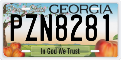 GA license plate PZN8281
