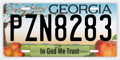 GA license plate PZN8283