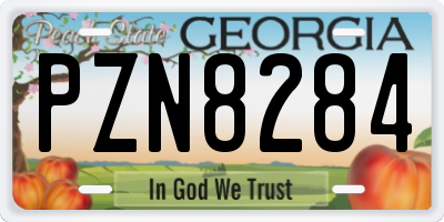 GA license plate PZN8284