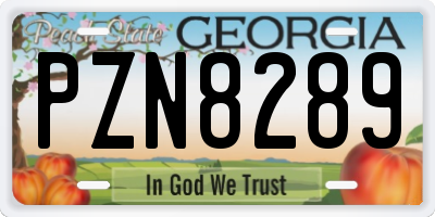 GA license plate PZN8289