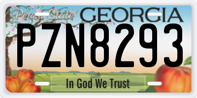 GA license plate PZN8293