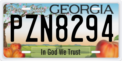 GA license plate PZN8294