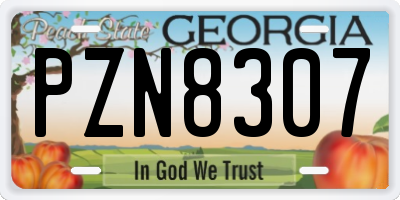 GA license plate PZN8307