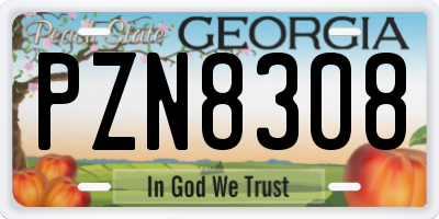 GA license plate PZN8308