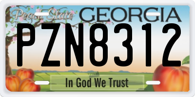 GA license plate PZN8312