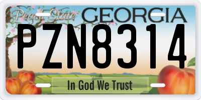 GA license plate PZN8314