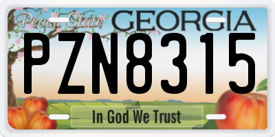 GA license plate PZN8315