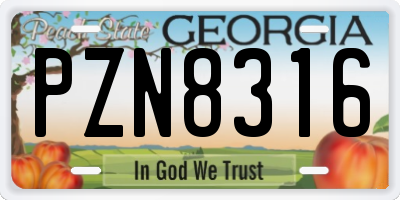 GA license plate PZN8316