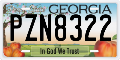 GA license plate PZN8322