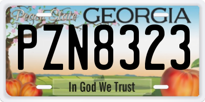 GA license plate PZN8323