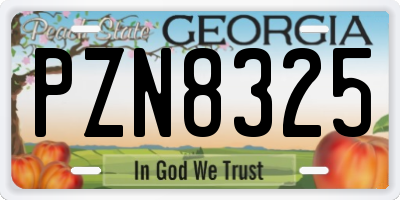 GA license plate PZN8325