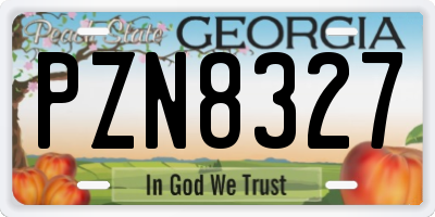 GA license plate PZN8327