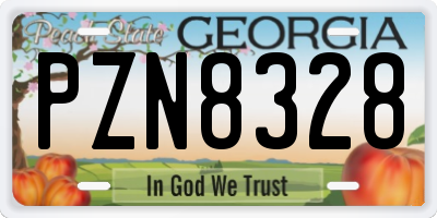 GA license plate PZN8328
