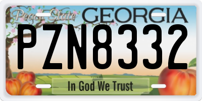 GA license plate PZN8332