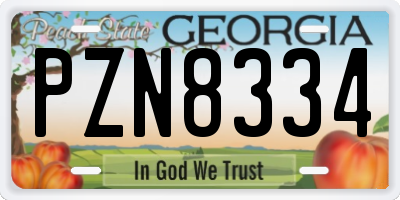 GA license plate PZN8334