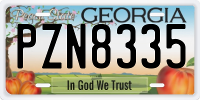 GA license plate PZN8335