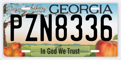 GA license plate PZN8336