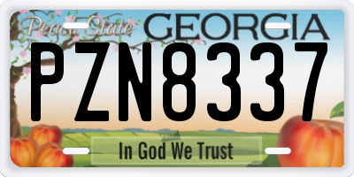 GA license plate PZN8337