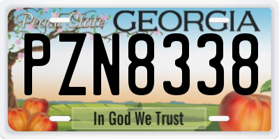 GA license plate PZN8338