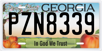 GA license plate PZN8339