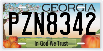 GA license plate PZN8342
