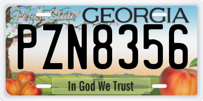 GA license plate PZN8356