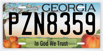 GA license plate PZN8359