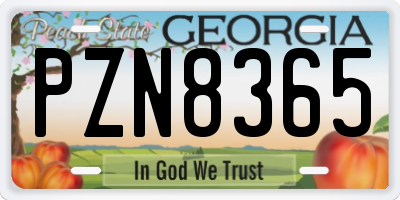 GA license plate PZN8365