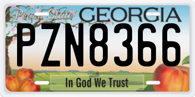 GA license plate PZN8366