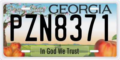 GA license plate PZN8371