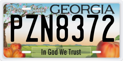 GA license plate PZN8372
