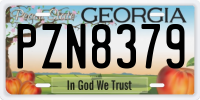 GA license plate PZN8379