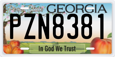 GA license plate PZN8381