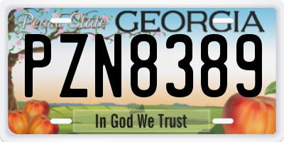 GA license plate PZN8389