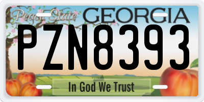 GA license plate PZN8393