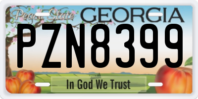 GA license plate PZN8399