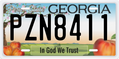 GA license plate PZN8411
