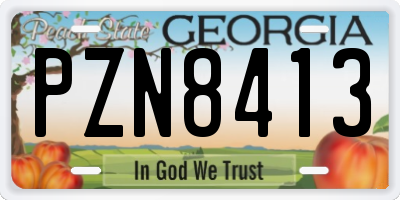 GA license plate PZN8413