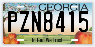 GA license plate PZN8415