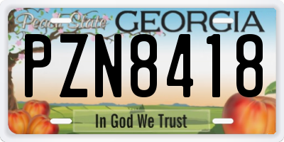 GA license plate PZN8418