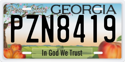 GA license plate PZN8419