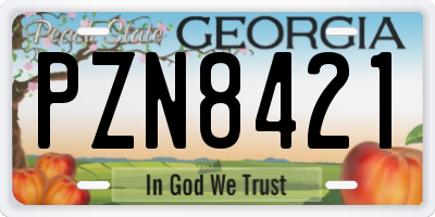 GA license plate PZN8421