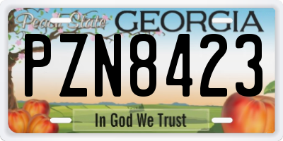 GA license plate PZN8423