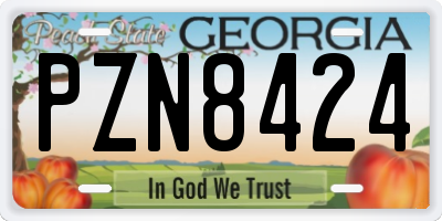 GA license plate PZN8424