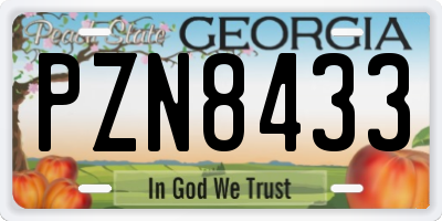 GA license plate PZN8433