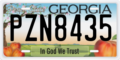 GA license plate PZN8435