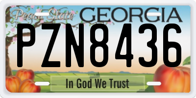 GA license plate PZN8436