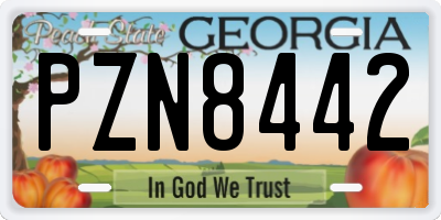 GA license plate PZN8442